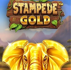 HeroSpin Stampede Gold slot con elefanti dorati